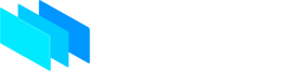 NEXON Vision